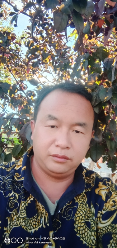 战狼的第一张照片--屏南交友网