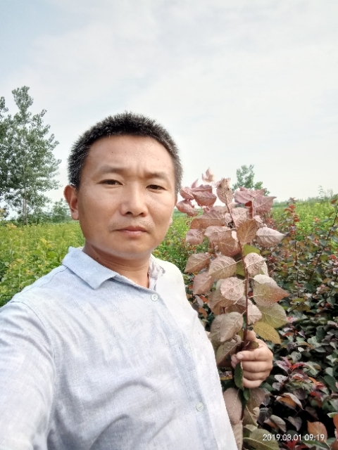 孩子爸的第一张照片--屏南交友网