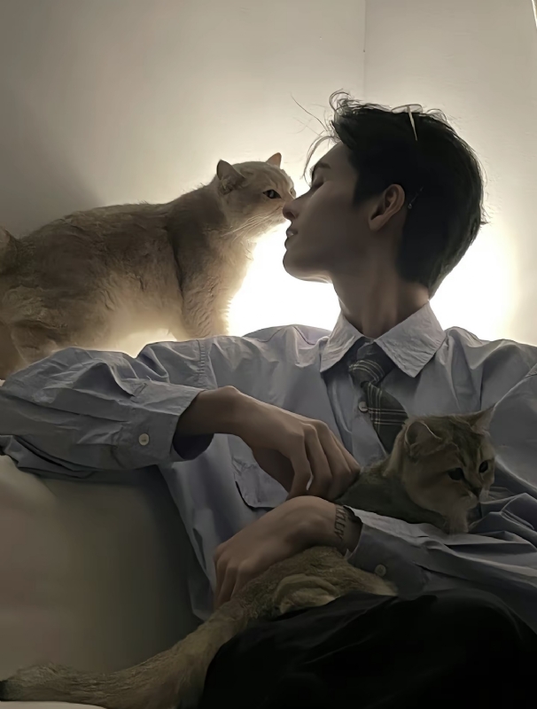 怪猫的第一张照片--屏南交友网