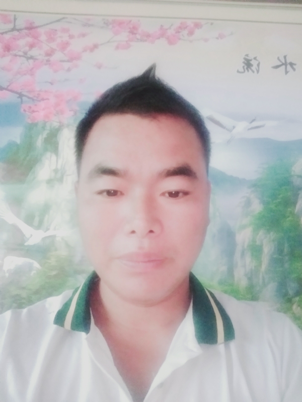 阳光男孩的第二张照片--屏南交友网
